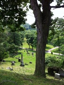 Allegheny landscape