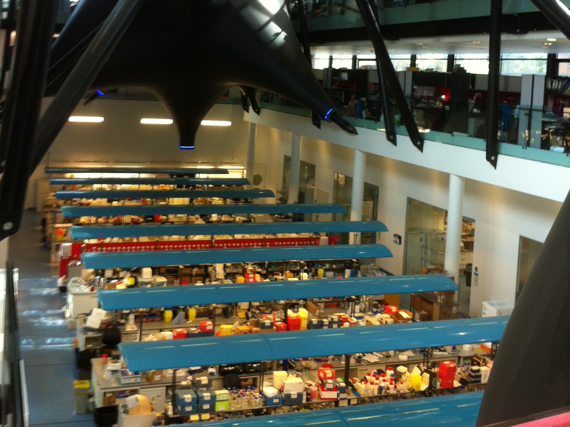 Blizard Institute laboratory, view from my desk
