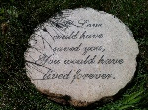If Love Could Have Saved You