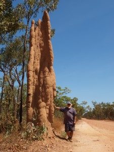 termite mound